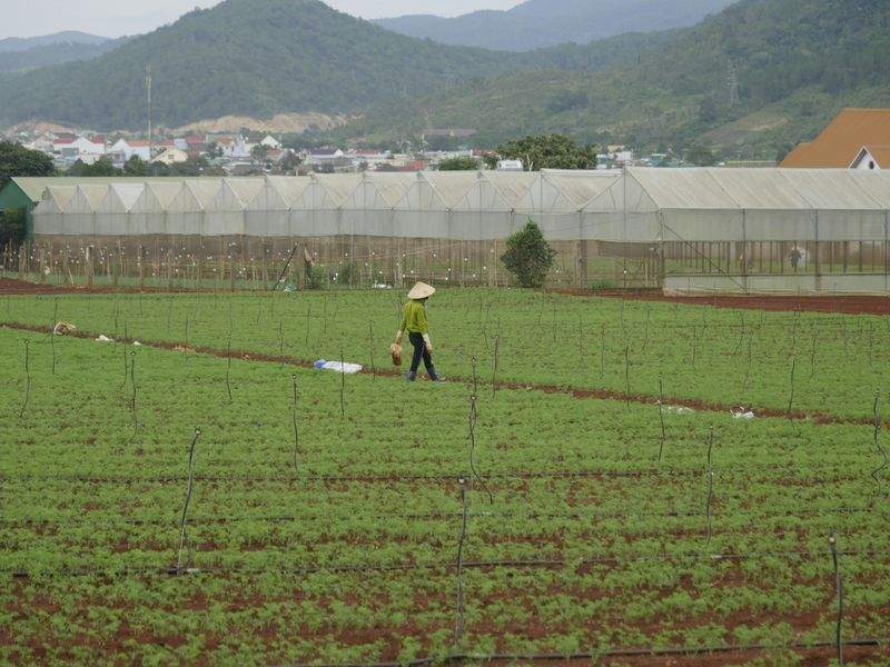 AgroCampos del Levante, S.L. 12