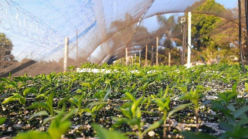 AgroCampos del Levante, S.L. 2