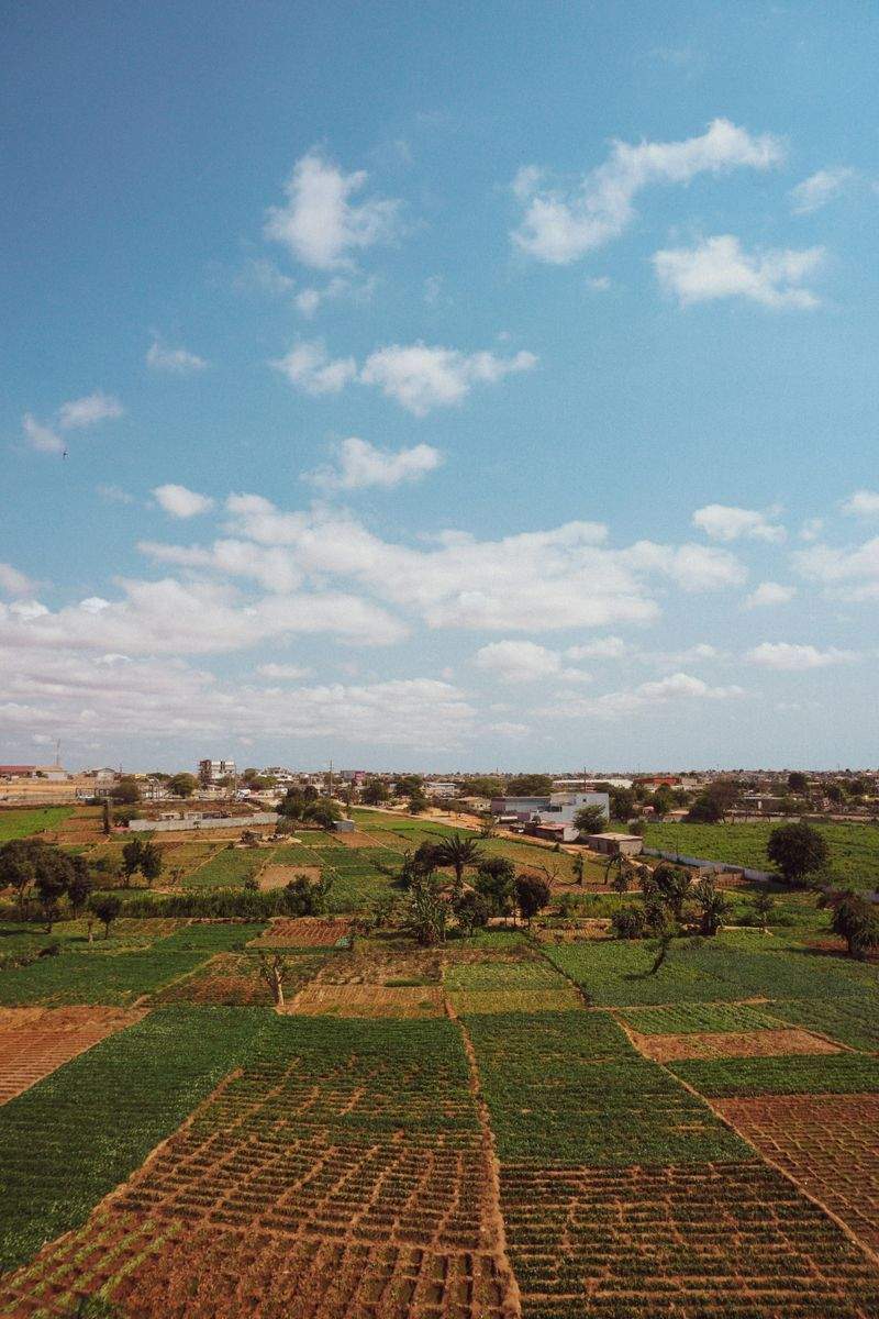 AgroCampos del Levante, S.L. 9
