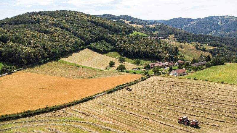 Asesoramiento en riego eficiente y fertirrigación